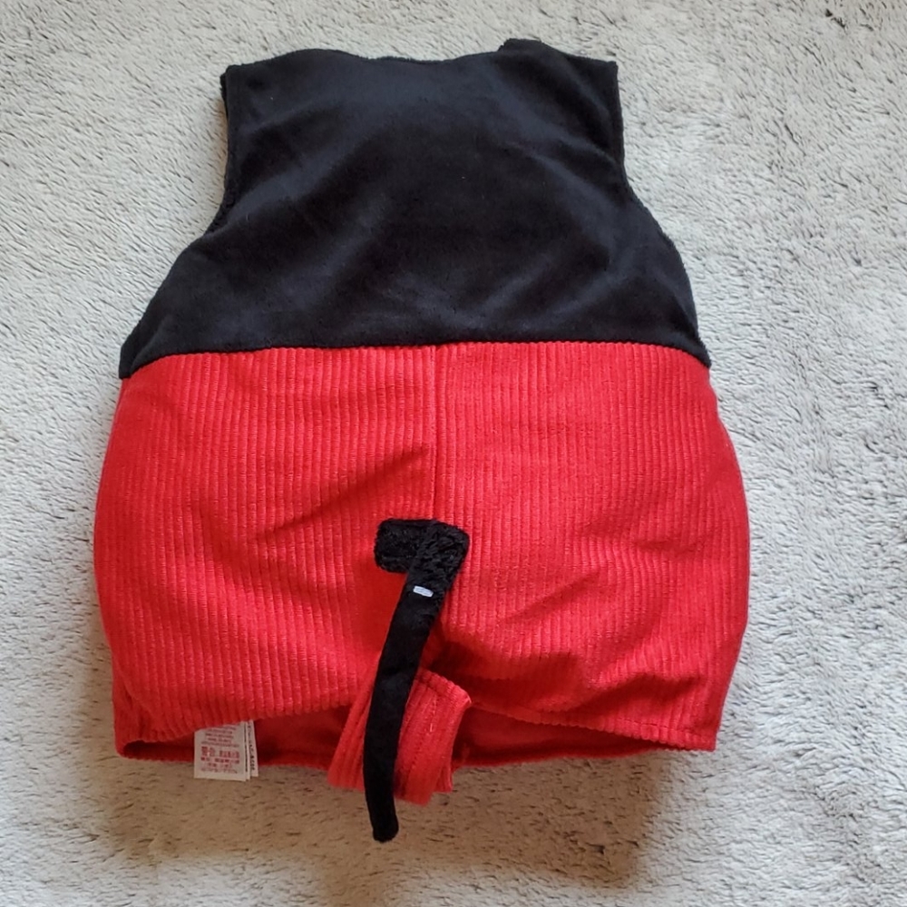 Disney Baby Ladybug Halloween costume 3-6 months - Picture 4 of 7
